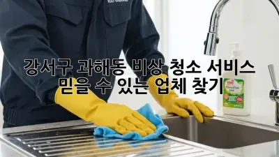 강서구 과해동 비상 청소 서비스, 믿을 수 있는 업체 찾기