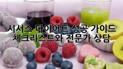 시서스 다이어트 성공 가이드: 체크리스트와 전문가 상담
