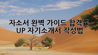 자소서 완벽 가이드: 합격률 UP! 자기소개서 작성법